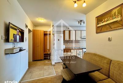 Apartament cu 2 camere decomandat în Turnișor - 10