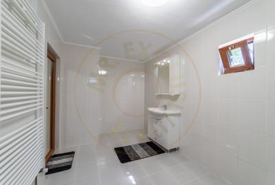 Casa  cu 4 camere in Sat Bujoi, Comuna Bogati+ Anexe + Teren 2693 mp - 9