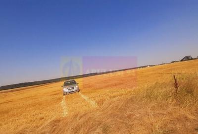 Teren pentru casa/case in Brane?ti pe strada Topora?i - 34