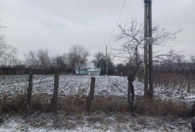 Casă cu 2 camere în Cozmești - 1