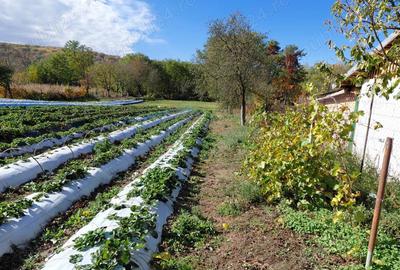 Casa de vanzare + gradina in sat Zagujeni - 5