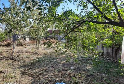 Teren de 639 mp, în Dragomirești - 5