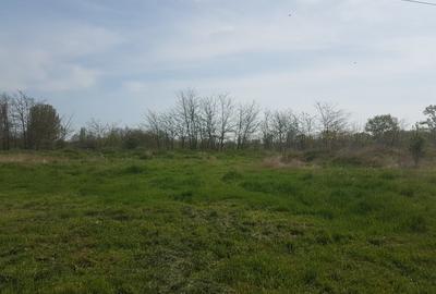 Teren 1.598mp, deschidere dubla, cea mare de 70ml, strada Arinilor, Gheraiesti