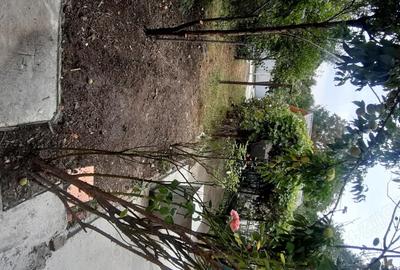 Casă cu 2 camere în Poiana - 5