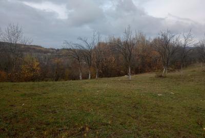 Teren intravilan Drajna 4062mp - 2