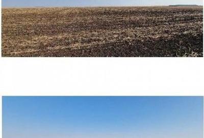 Teren extravilan Putineiu, ID: R2718957 - 7