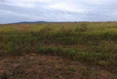11500euro!Teren intravilan,priveliste superba,ideal construc - 3