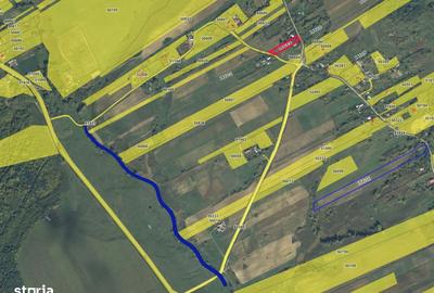 Teren de 30000 mp, în Poienari - 1