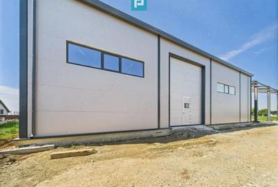 Hala industriala in zona Giarmata Timi? - 4