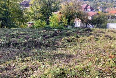 Teren de 1159 mp, în Vlădești - 6