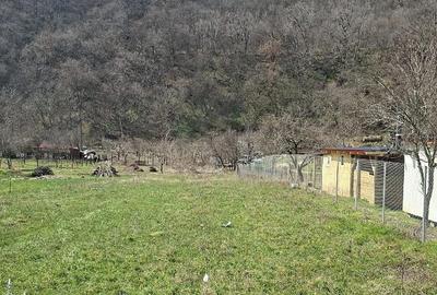Teren de 1025 mp, în Central