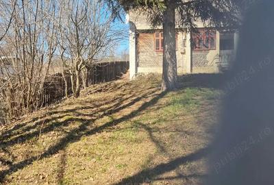 Casă cu Teren 600 Mp în Drăgăneasa - 3