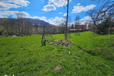 Teren de 2000 mp, în Valea Doftanei - 7