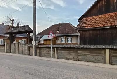 Casă cu 5 camere cu Teren 3500 Mp în Arbore - 1