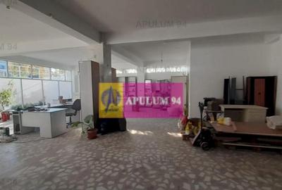 Centru de afaceri cu vad comercial - 10