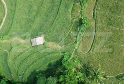 Teren de 14000 mp, în Central - 1