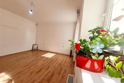 3D! Locatie decomandata, in zona centrala cu gradina, activitate profesionala/re - 4