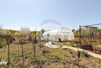 Casă cu 7 camere cu Teren 1592 Mp în Periș - 4