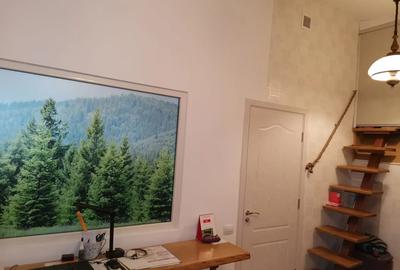 Vand casa la munte in Campulung Moldovenesc - 5