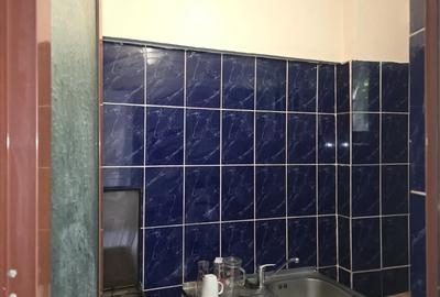 Ofer spre Inchiriere garsoniera confort 1 Ultracentral - 2