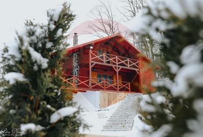 Cabana de vânzare, Valeni - 5