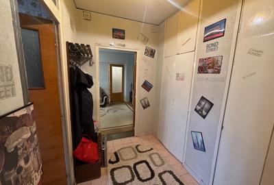 2 Camere Campia Libertatii Pet friendly - 8