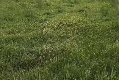 Casă cu 6 camere cu Teren 1400 Mp în Checea - 6