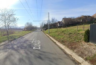 Teren Construcții intravilan de 10000 mp, în Central - 3