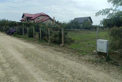 Spațiu comercial, în Tăbăcari - 3