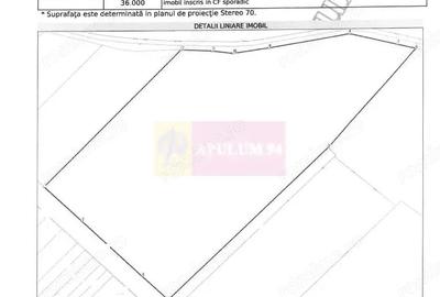 Teren de 131935 mp, în Est - 6