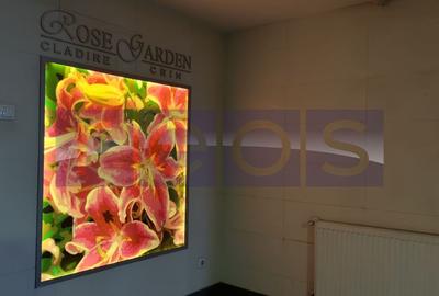 INCHIRIERE 2 CAMERE | ROSE GARDEN | DOAMNA GHICA - 10