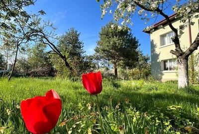 POVESTEA UNEI CASE PENTRU GENERATII  | VILA CU FARMEC, LUMINA SI TEREN 1618 MP POVESTEA UNEI CASE PENTRU GENERATII  | VILA CU FARMEC, LUMINA SI TEREN 1618 MP - 4