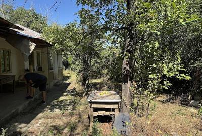 Casă în Grebănu - 4