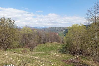 Teren de 18937 mp, în Secăria - 1