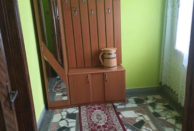 Casa tradi?ionala din piatra ?i lemn, 200 mp utili, teren 850 mp Cavnic - 2