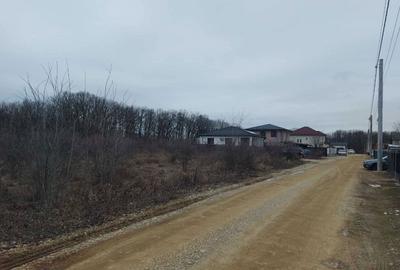 Spațiu comercial, în Smeura - 3