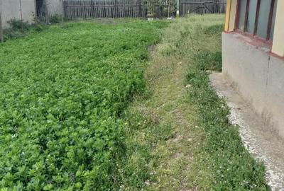 Teren de 3500 mp, în Izvoarele - 2