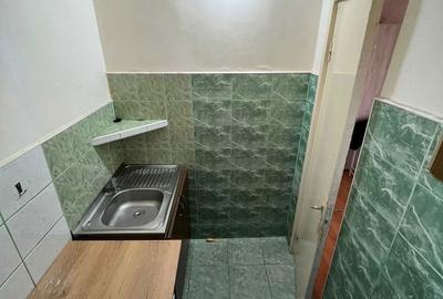 Garsonieră nedecomandată în Alexandru cel Bun - 4