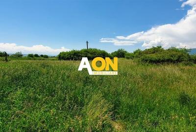 Teren de vanzare, zona soseaua de Centura, 10.000MP, deschidere 50ml - 2