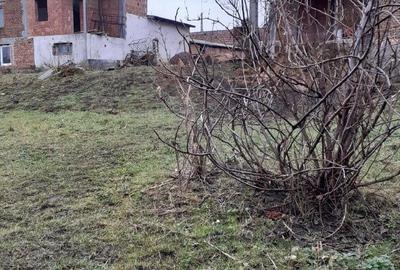 Spațiu comercial, de 3,600 mp, în Șura Mare - 8