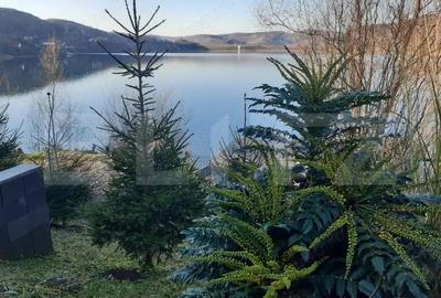 Casa De Vacanta cu vedere la lacul Bezid-OPORTUNITATE - 6