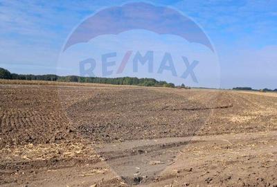 Teren 21,177mp Santaul Mic / Strada - - 3