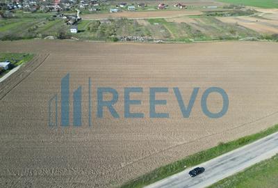 Teren de vanzare, Com. Nicolae Balcescu, Jud. Bacau - 10