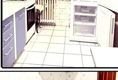 Vand apartament 3 camere Drumul Taberei - 5