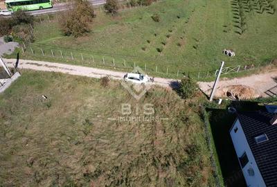 Teren de 2500 mp, în Viișoara - 9