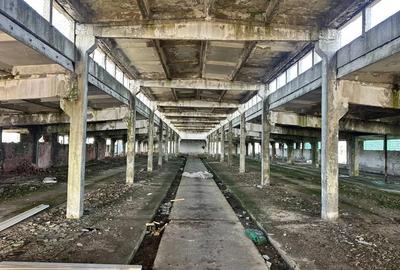 Teren de 10000 mp, în Central - 1