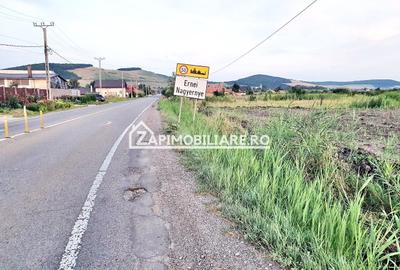 Teren 13.000 mp 25 euro mp.Ernei deschidere la drum Judetean - 2