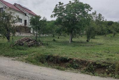 Teren de 14251 mp, în Podgoria