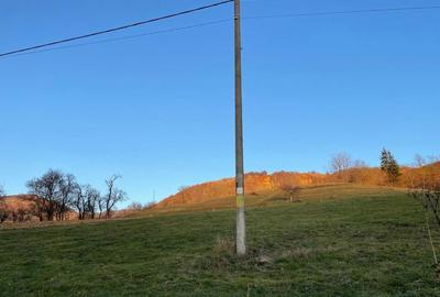 Teren de 879 mp, în Armeniș - 4