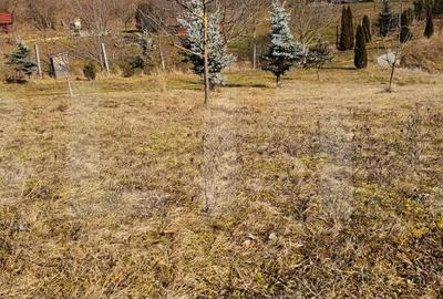 Casă cu Teren 2000 Mp în Arcuș - 4